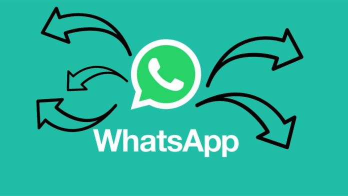 Búsqueda web en WhatsApp