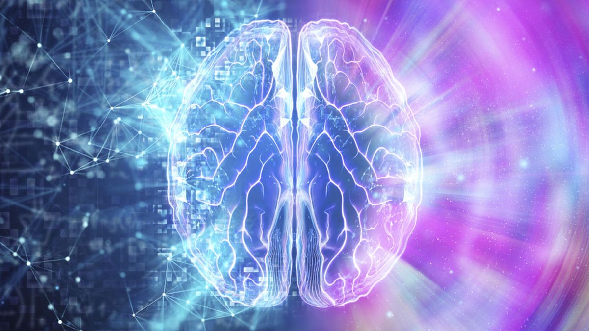 Qué Pasa Realmente en Tu Cerebro Antes de Morir 1 cerebro antes de morir