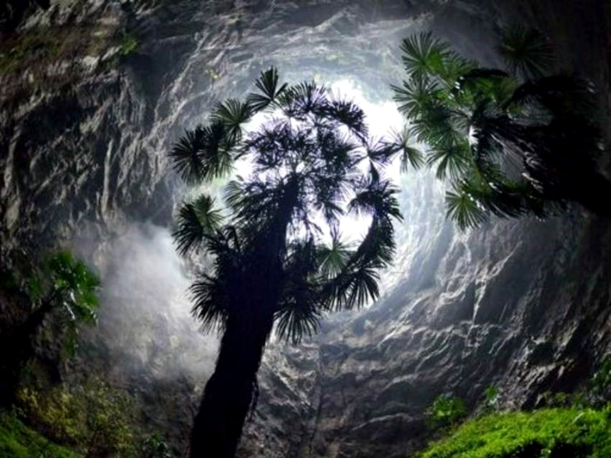 Bosques Ocultos en las Fosas Celestiales de China 2 Mundo subterráneo