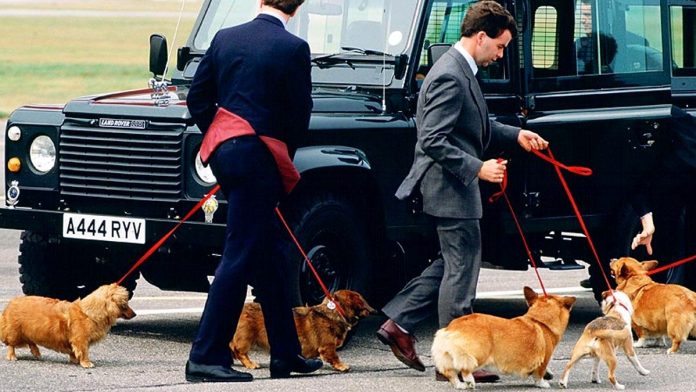 perros de la realeza británica