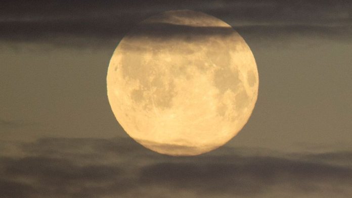 De que se trata la Luna de Nieve
