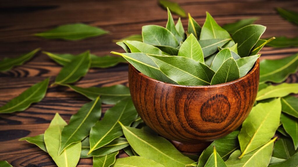 El Poder del Laurel: Rituales Espirituales Que Funcionan Hoy Ritual con laurel