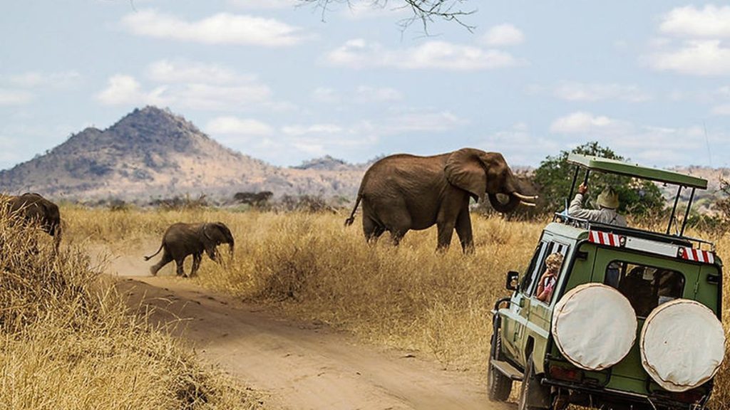 Safari en el Parque Nacional Serengeti, África